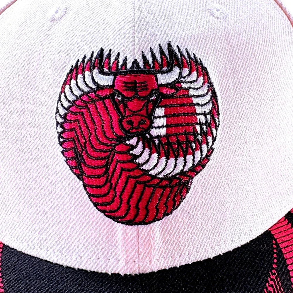 Melonwear NBA Chicago Bulls BMO Harris Artist Series Chuck Anderson Snapback Hat